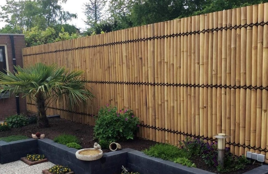 Bamboo Fencing