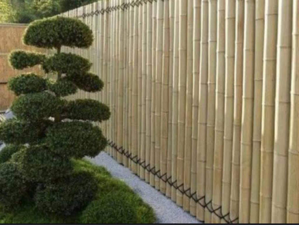 Bamboo Fencing